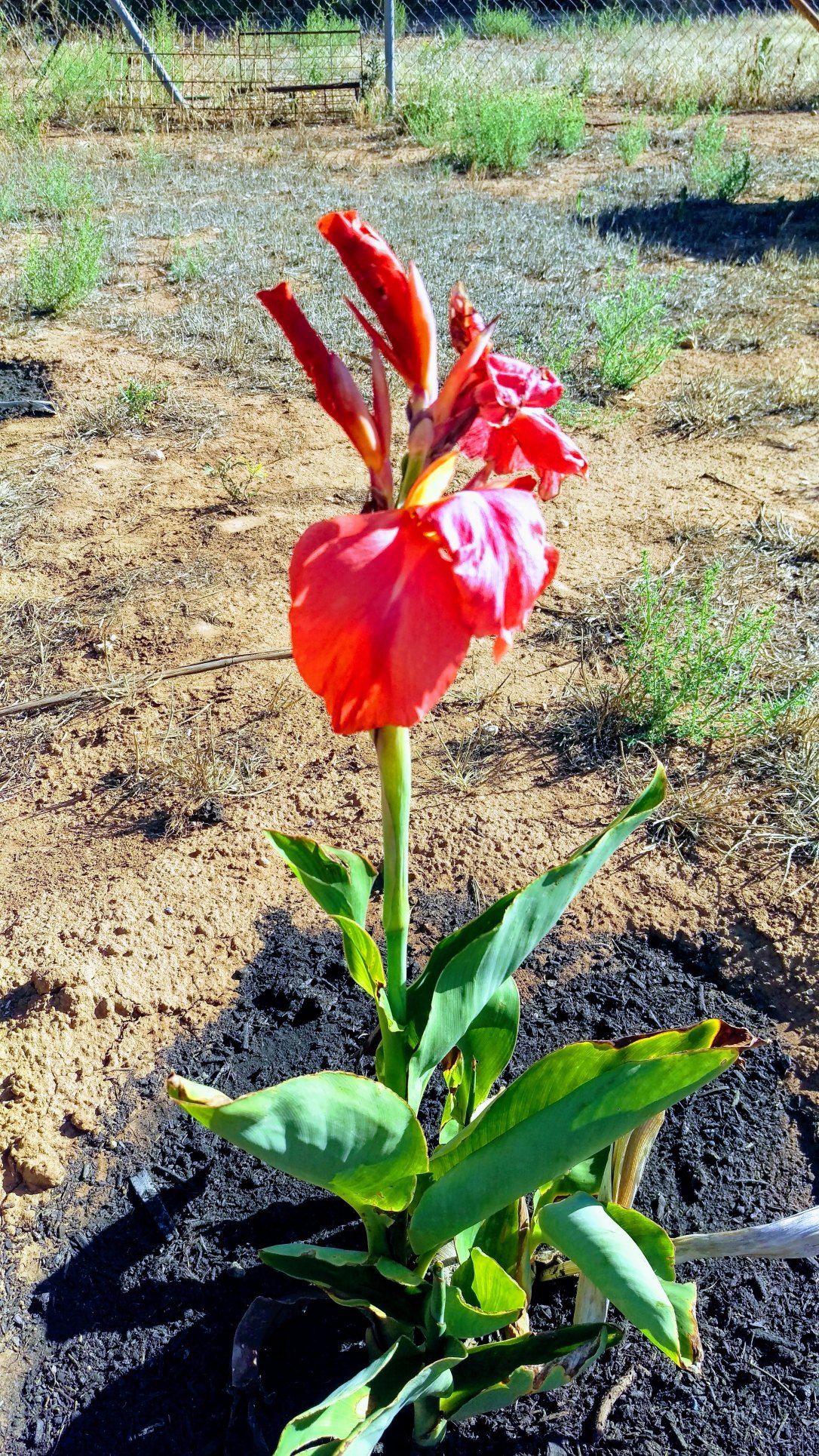 20190405_102110-STYLE